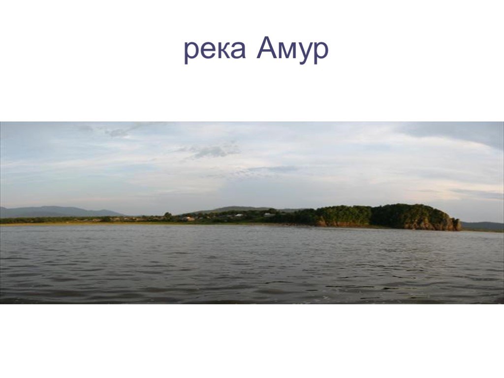 Амур длина. Проект на тему река Амур. Глубина реки Амур. Проект про реку Амур. Проект по река Амур.