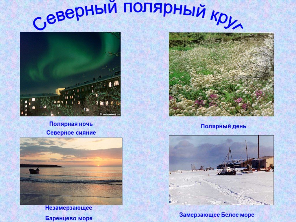 Доклад от южных морей до полярного края. Полярная ночь в европейском севере. Полярный день презентация.