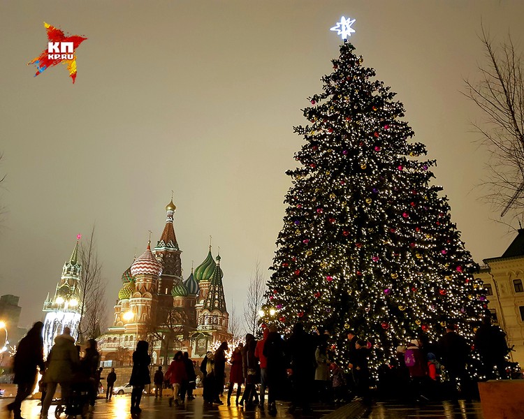 Московская елка. Елка в Зарядье. Елка в Москве. Елка на красной площади. Главная елка Москвы.