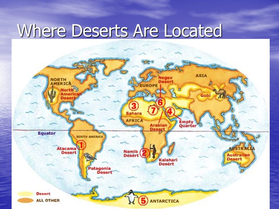 Самые большие пустыни на карте