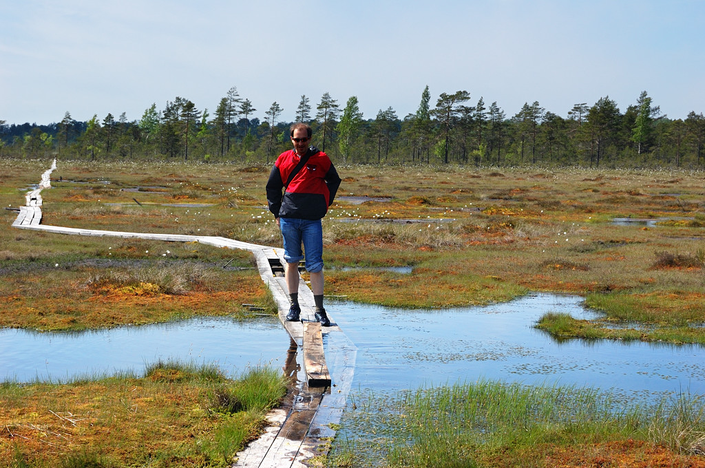 Движение в болоте. Эстония болото. Преодоление болота. Через болото. Проходимые болота.