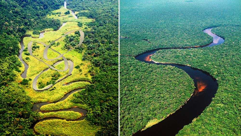 Почему река конго. Река Конго в Африке. Долина реки Конго. Впадина Конго.