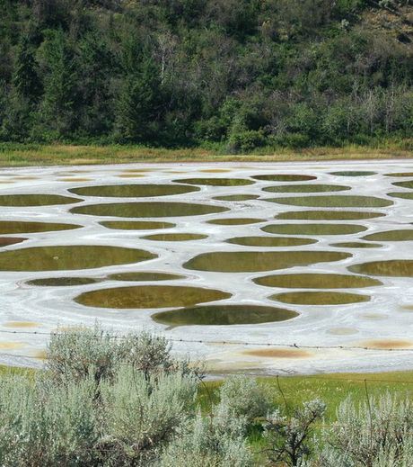 Spotted Lake In British Columbia