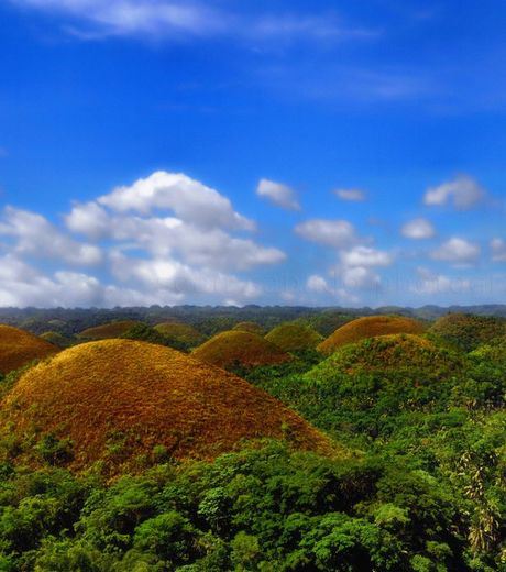 The Chocolate Hills of Bohol Island in the Philippines. This place Consists of 1,268 Cone-shaped Hills Of Similar Size