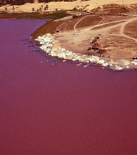 The Deep Pink Coloured Lake Retba in Senegal 
