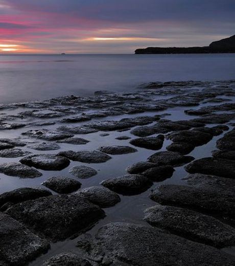 The mosaic pavements located in Tasmania