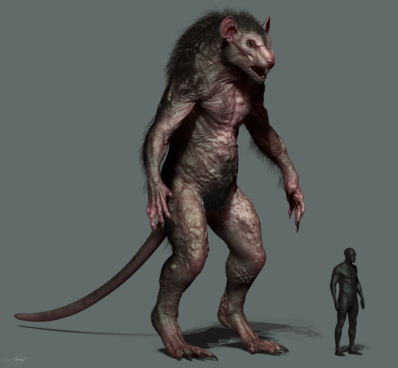 Мышь в мифологии. Сталкер 2 мутанты крысоволк.