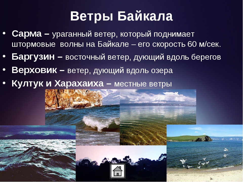 Черты озера байкал. Ветер Сарма на Байкале. Ветра Байкала. Название ветров на Байкале. Местные ветра озера Байкал.