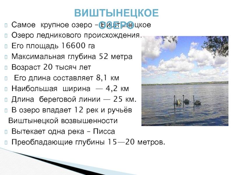 Через какое озеро была. Озеро Виштынец Калининградская область. Водоемы Калининградской области 4 класс. Реки и озера Калининградской области. Самые крупные озера.