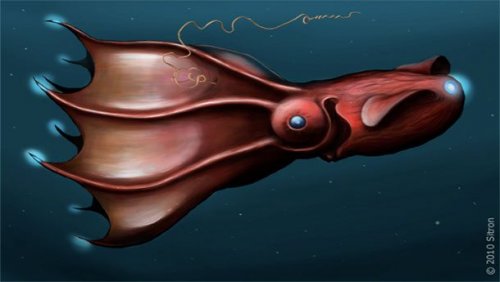 ТОП-25: Самые ужасные морские монстры, о существовании которых вы могли не знать