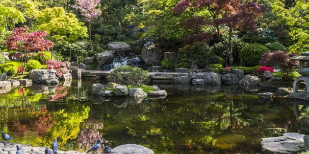Что посмотреть в Лондоне: японский сад Киото в Холланд-парке