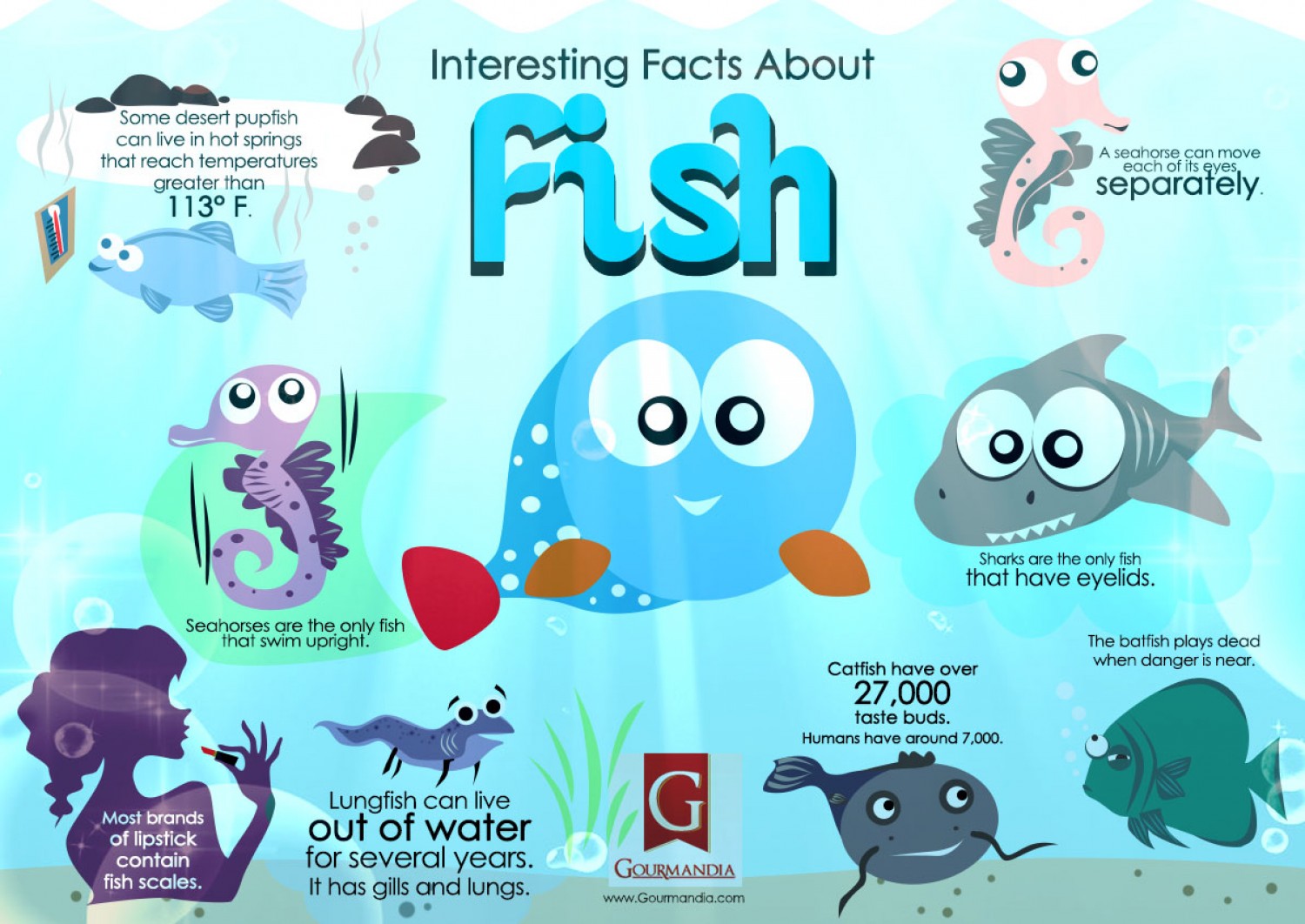 Interest fact. Facts about Fishes. Interesting facts. Вопрос рыбка. Interest facts надпись.