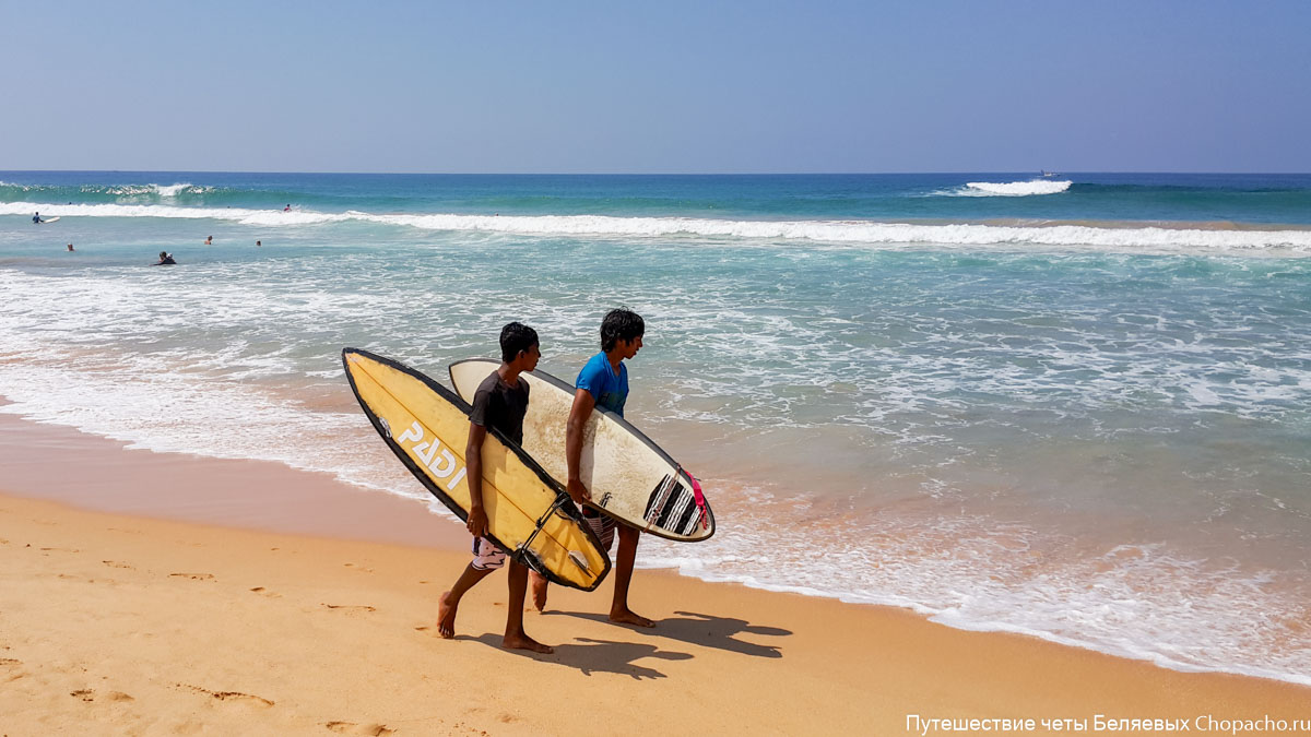 Страховка шри ланка. Хиккадува Шри Ланка. Серф школа Шри Ланка. Хиккадува серфинг. Пляж Хиккадува Шри Ланка.