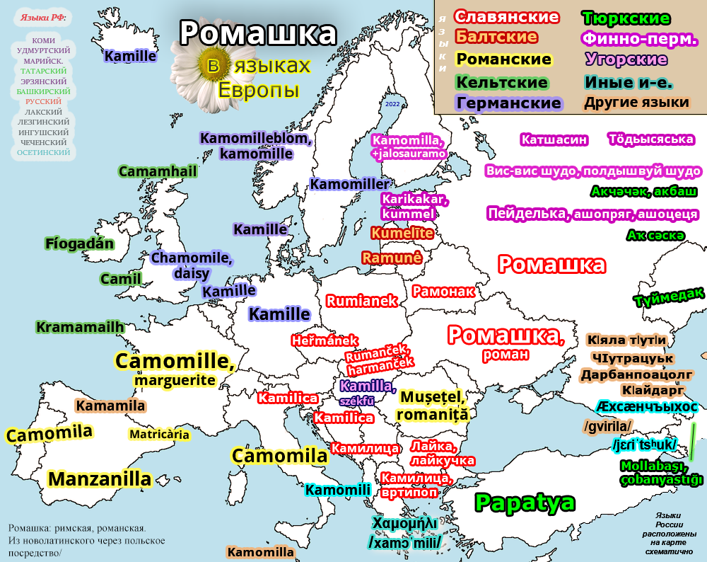 Карта Европы и России. Карта Европы 2022. Языки Европы карта. Карта Европы Европы и России.