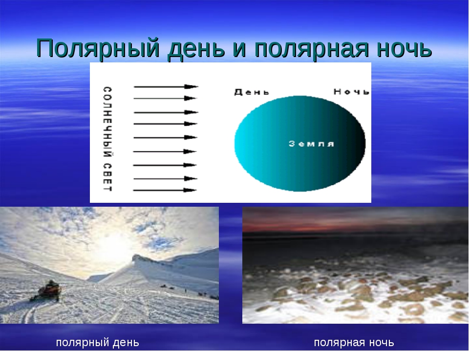 Полярную ночь можно наблюдать. Полярный день. Полярный день и ночь. День и ночь Арктики. Полярный день и Полярная ночь наблюдается.