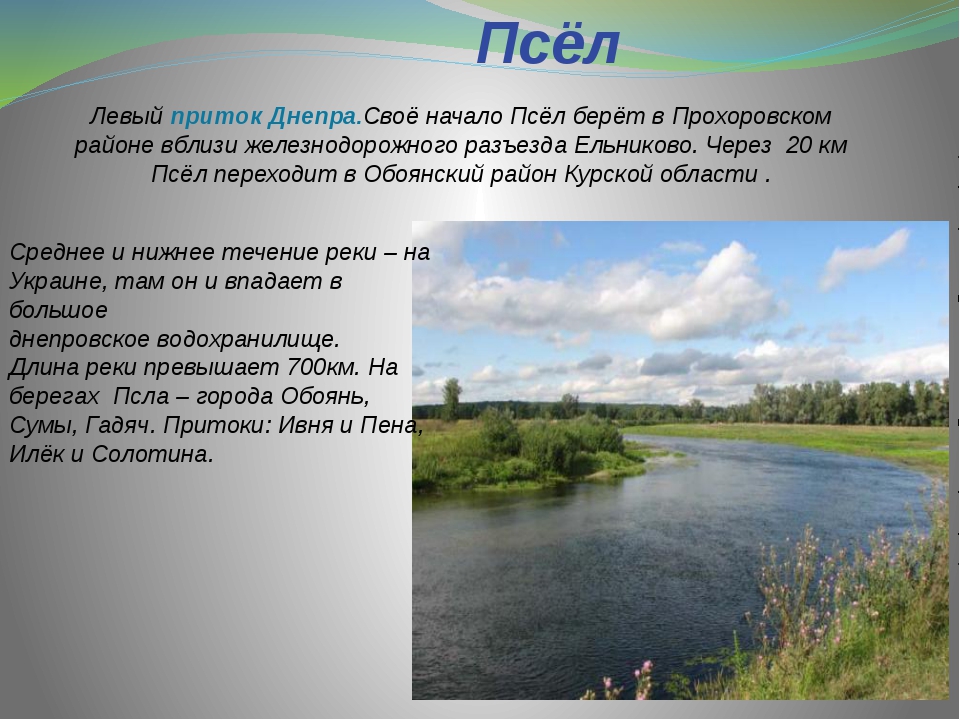 Водные объекты нашего края. Реки Белгородской области описание. Реки Курской области 4 класс Сейм. Крупные реки Белгородской области. Притоки Днепра.