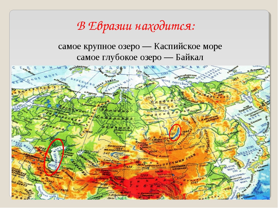 Самое большое озеро на территории евразии. Физическая карта Евразии. Озера Евразии на карте. Самые большие озера в мире на карте. Ссаые большие озёра Евразии.