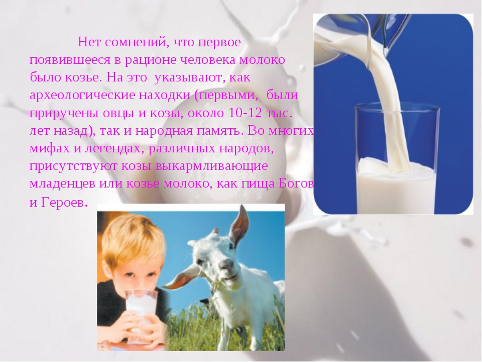 Козье молоко можно новорожденным. Козье молоко. Молоко от козы. От чего полезно козье молоко. Козье молоко полезно.