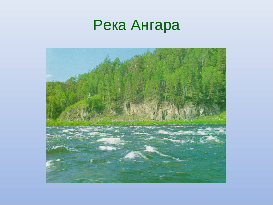 Тип питания реки ангара. Ангара река в Восточной Сибири. Сибирь Восточная- Ангара. Река Ангара презентация. Растения ангары.