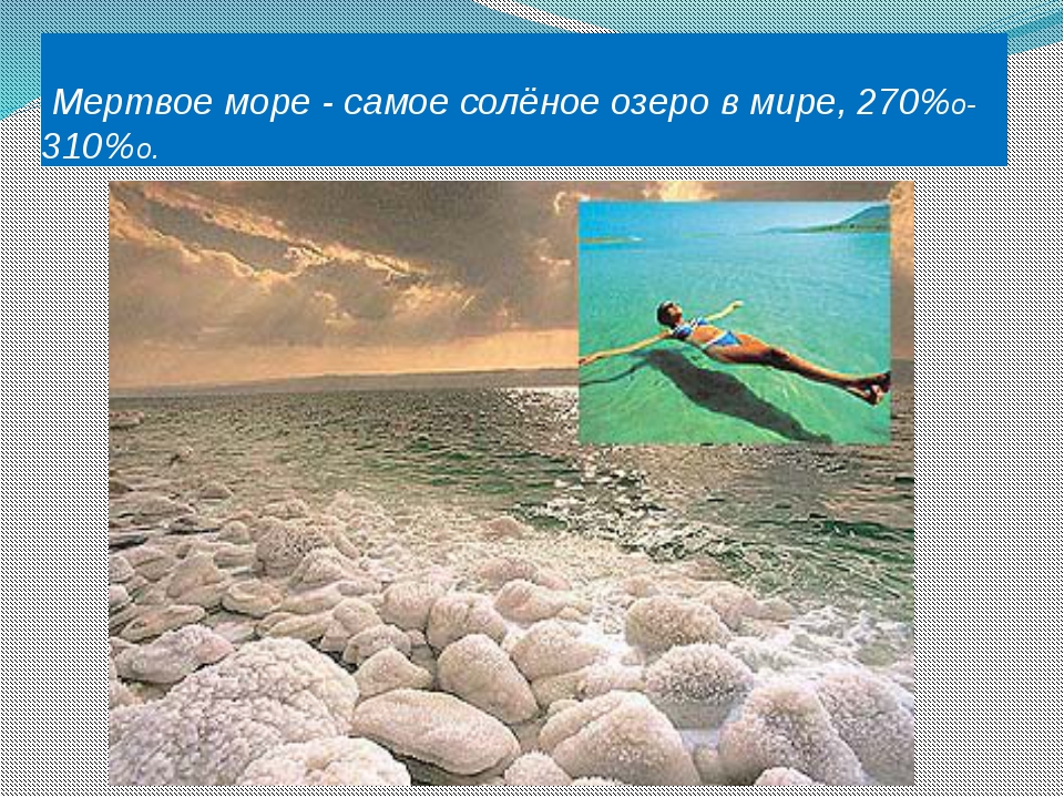 Какие воды самые соленые. Самое соленое море. Мертвое море самое соленое. Самое соленое море в мире. Самое соленое море в России.