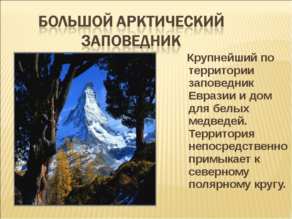 Названия самых больших заповедников. Крупнейший заповедник Евразии. Самые крупные заповедники. Самый большой заповедник в России. Заказники Евразии.