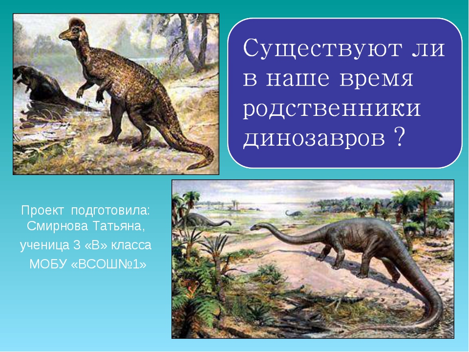 Ближайший родственник динозавра. Самый близкий родственник динозавров. Ближайшие родственники динозавров. Современные потомки динозавров.