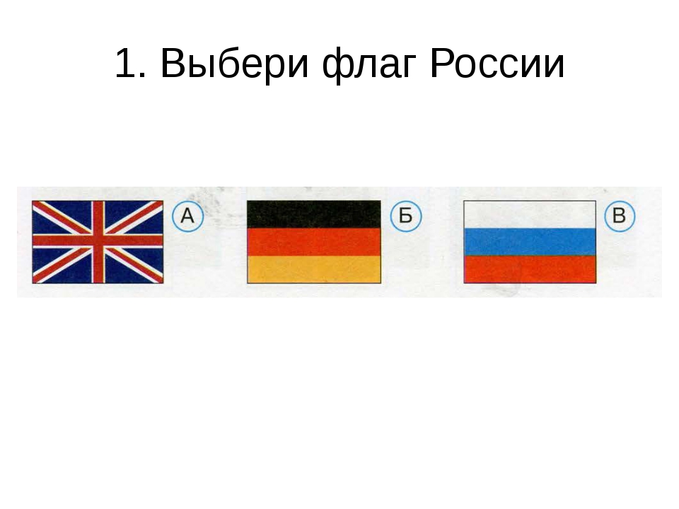 Выбери флаг России. Флаг похожий на флаг России. Самый самый 1 флаг России.