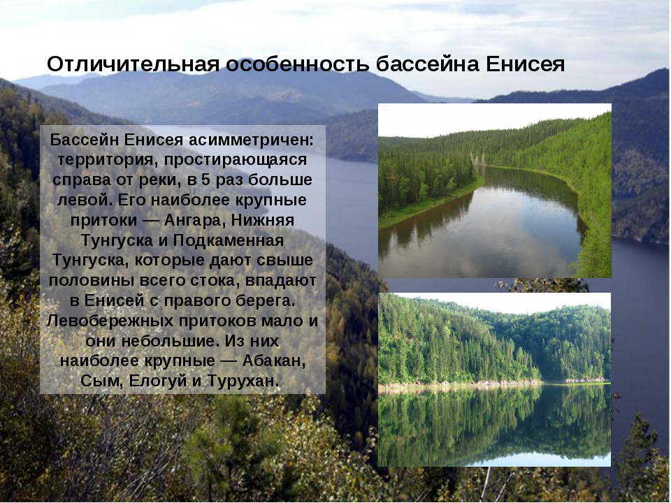 Ширина реки енисей. Рассказ о Енисее. География река Енисей. Бассейн Енисея. Енисей происхождение названия.