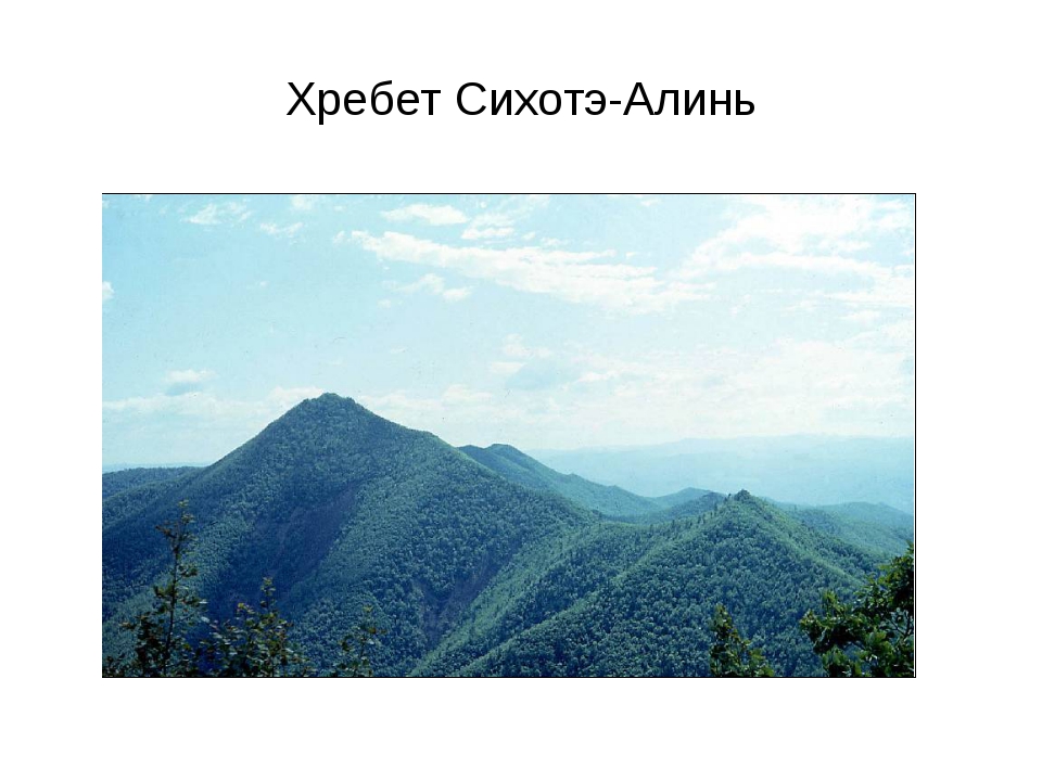 Хребет сихотэ. Хребет Сихотэ-Алинь. Горная система Сихотэ-Алинь. Сихотэ Алинь горы протяженность. Средняя высота горы Сихотэ Алинь.