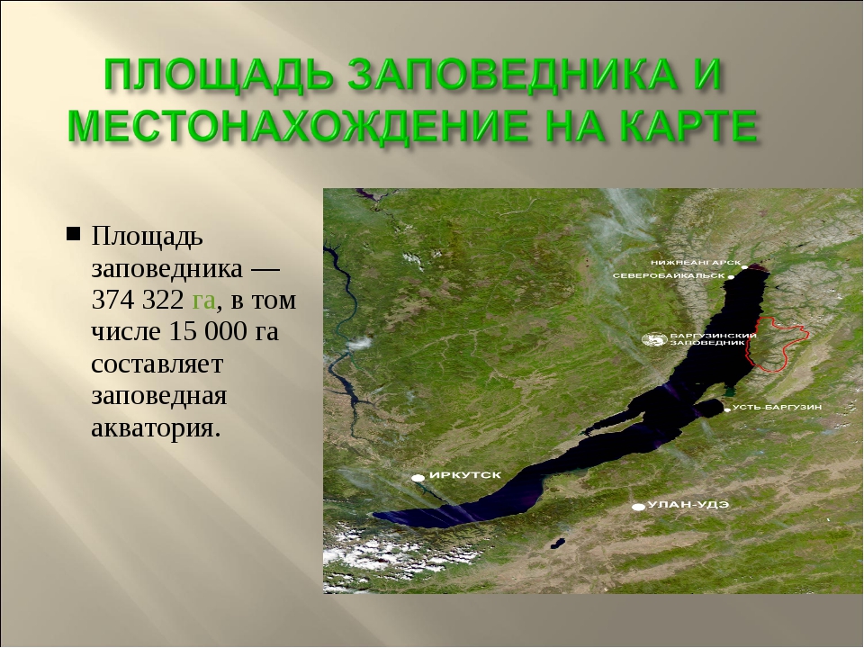 Где находится байкальский заповедник на карте. Первый заповедник на территории России — Баргузинский заповедник.. Баргузинский заповедник географическое положение на карте. Баргузинский заповедник презентация. Баргузинский заповедник площадь.