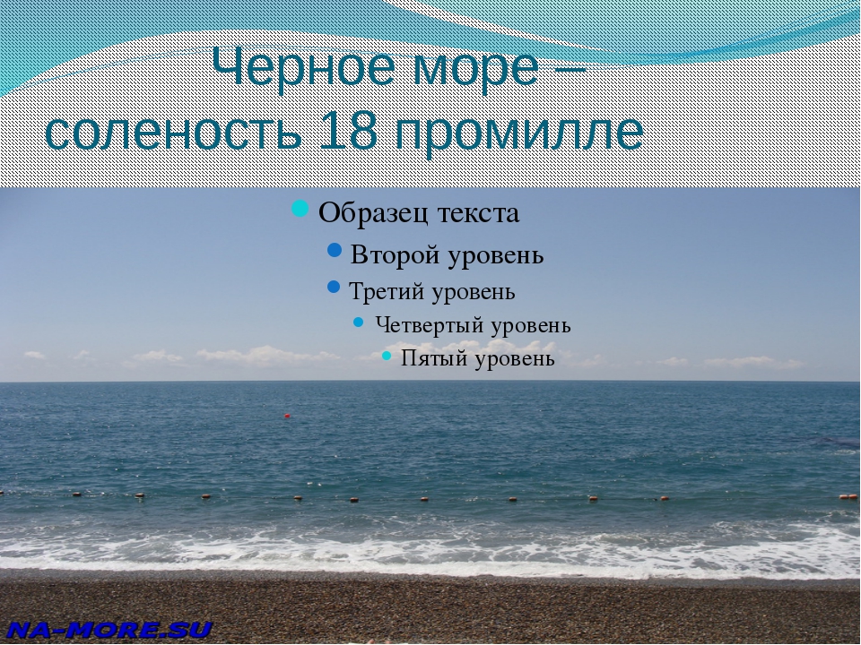 Степень солености морей. Чёрное море солёность воды. Средняя соленость черного моря. Соленость черного моря моря. Солёность чёрного моря в промилле.