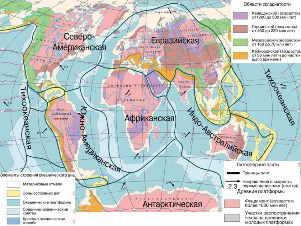 Древние платформы лежат в основании материков. Тектоническая карта. Области складчатости. Карта тектонических поясов. Карта строения земной коры.