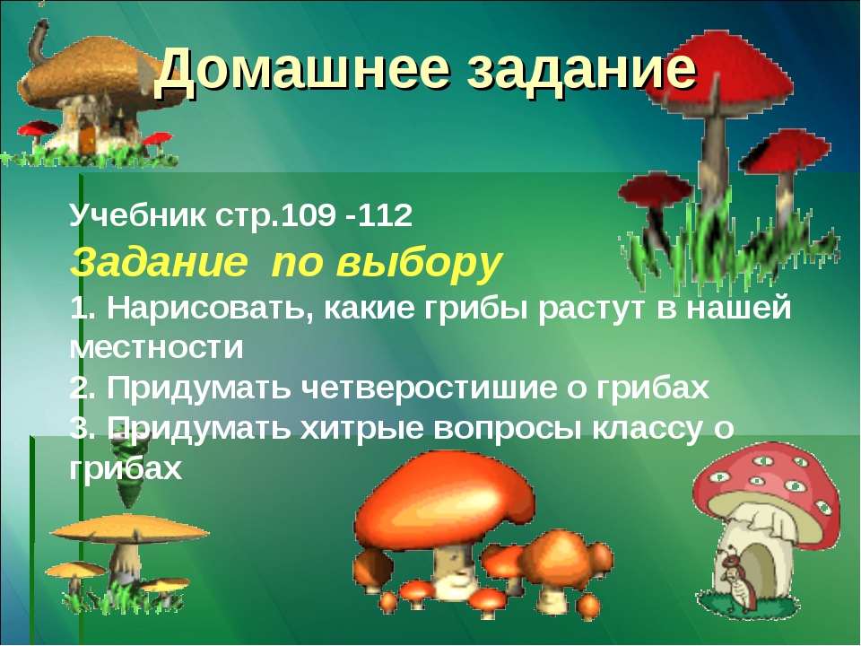 Грибы вопросы ответами. В царстве грибов задания. Задания про грибы 3 класс. Царство грибов 2 класс. Задание для урока в царстве грибов.