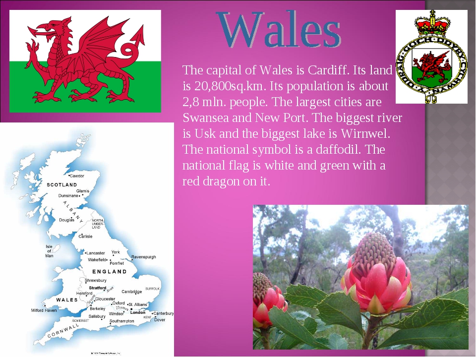 Capital of wales. Столица Wales на английском. Cardiff is the Capital of Wales. Уэльс города Уэльса. What is the Capital of Wales?.