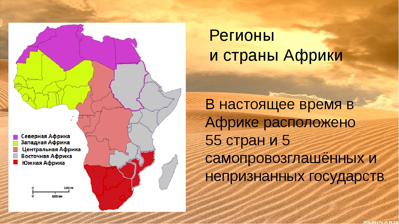 3 страны в западной африке. Регионы Северной, Западной, центральной Африки. Субрегионы Западной Африки. Регионы и страны Африки 7 класс география. Западная и Центральная Африка на карте.