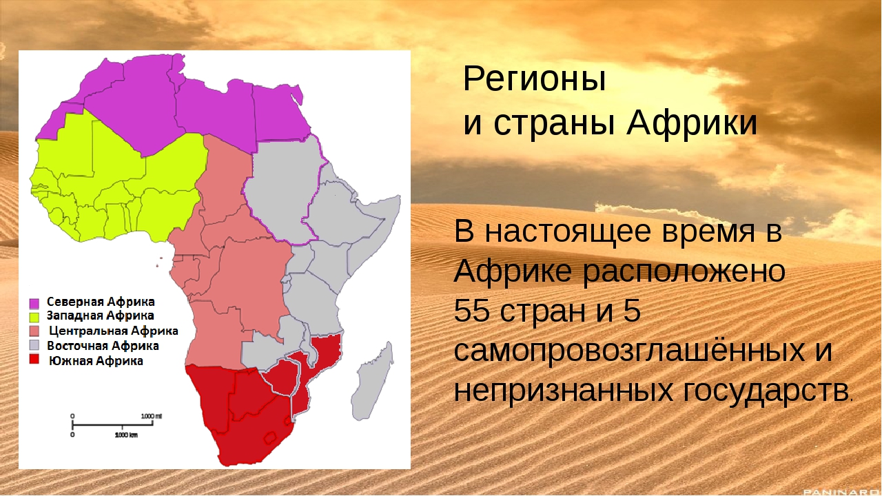 Сколько стран в африке. Карта регионов Африки и государств. Страны Африки. Регионы Африки. Регионы Африки на карте.