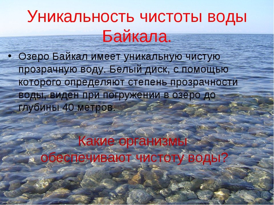 Воды байкала чисты и прозрачны. Уникальность озера Байкал. Уникальность воды Байкала. Уникальность воды озера Байкал. Особые черты озера Байкал.