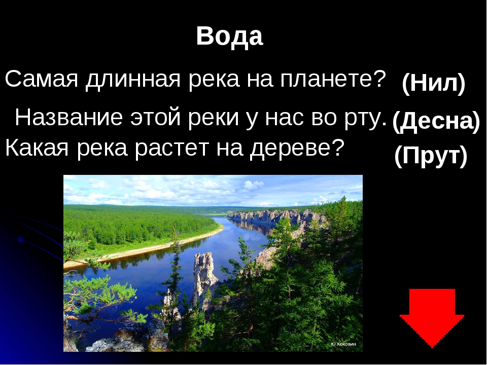 Самая протяженная река. Самая длинная река на нашей планете. Название самой длинной реки на планете?. Самое длинное название реки. Самая длинная река планеты.