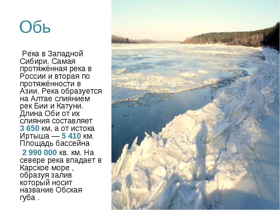 Река обь 4 класс окружающий. Реки России 3 класс Обь. Описание реки Обь. Река Обь описание 3 класс окружающий мир. Река Обь доклад 4 класс окружающий мир.