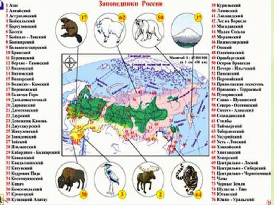 Крупнейшие заповедники. Карта природных заповедников России с названиями. Природные заповедники России на карте. Карта заповедников и заказников России. Карта крупнейших заповедников России.