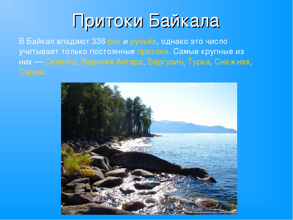 Сколько озер впадает в байкал. Притоки озера Байкал. Реки впадающие в Байкал. Крупные притоки Байкала. В Байкал впадает 336.
