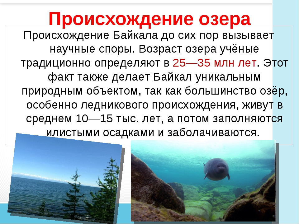 Существительное байкал собственное. Происхождение Байкала. Озеро Байкал история. Озеро Байкал история происхождения. Озеро Байкал география 6 класс.