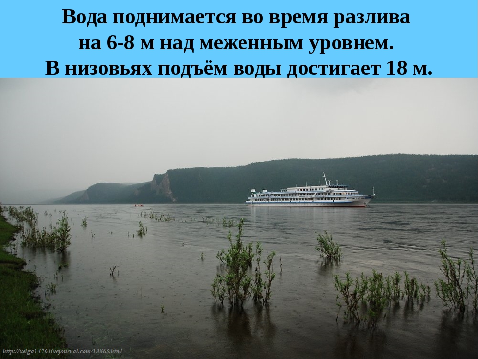 Описание реки лена. Река Лена презентация. Нижнее течение реки Лена. Легенда о реке Лена. Коротко о реке Лена.