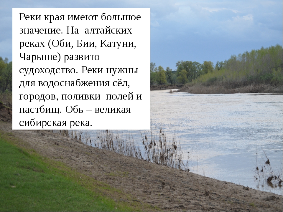 Водные богатства алтайского края. Водные богатства Алтайского края Обь. Рассказ о реке Обь. Река Обь в Алтайском крае. Реки Алтайского края презентация.