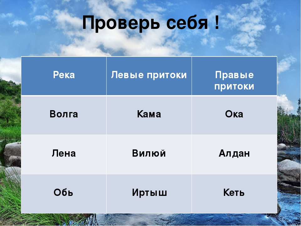 Правая лена. Правые и левые притоки Лены. Левые притоки реки Лена. Река Лена Исток Устье притоки. Крупнейшие притоки реки Лена.