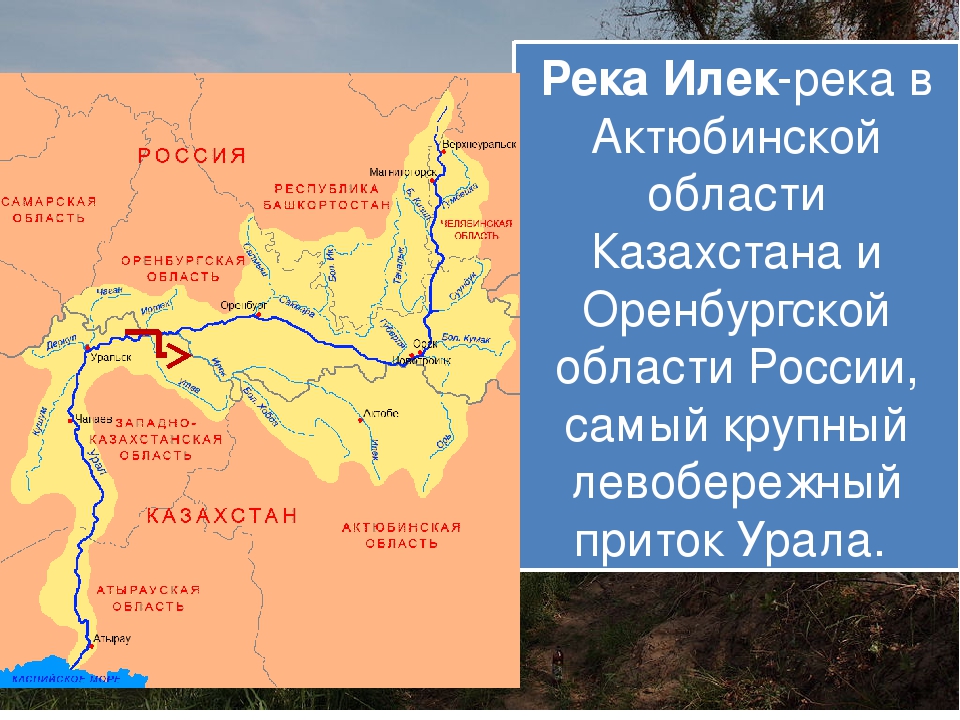 Какие реки есть в оренбурге. Главные реки Оренбургской области карта. Река Илек на карте. Река Урал на карте. Река Илек на карте Оренбургская область.