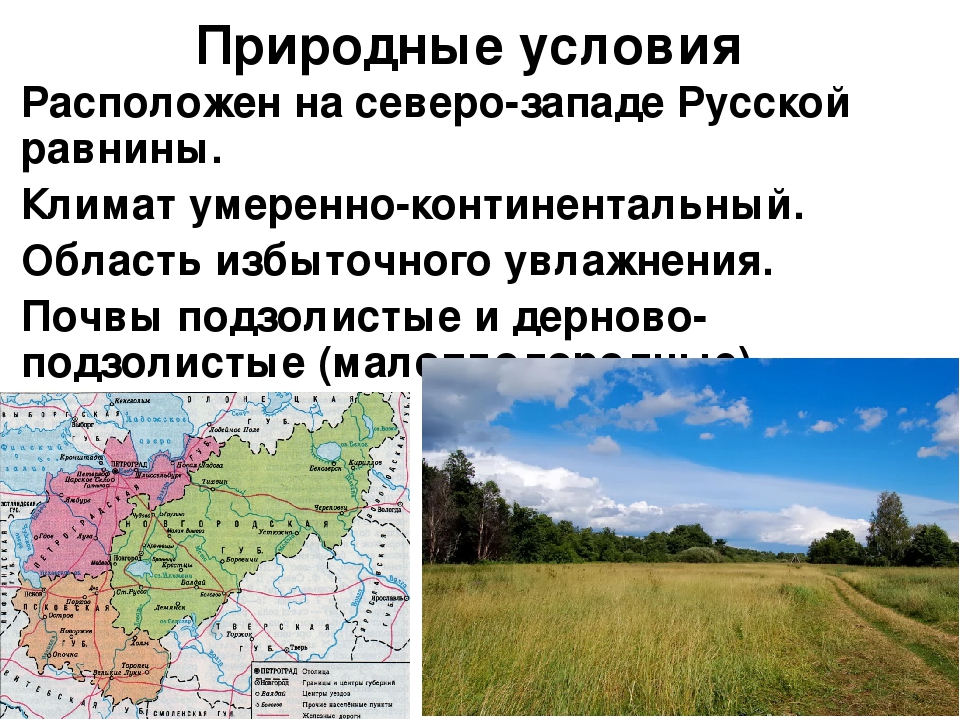 Российский условие. Природные условия Северо Западного экономического района. Природные условия Северо Западного экономического района России. Природные зоны Северо Западного экономического района России. Почвы Северо Западного экономического района России.