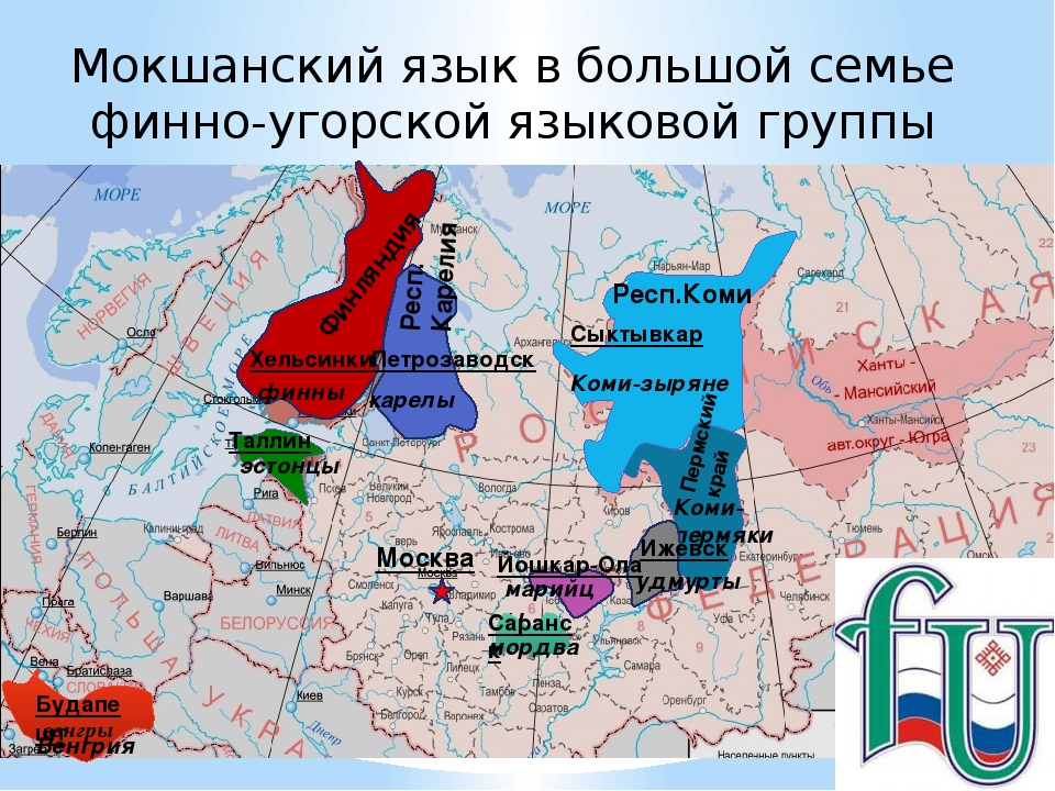 Слово тундра из какого финно угорского языка. Карта расселения финно-угорских народов. Финно-угорские народы расселение. Финно-угорские народы карта. Финно-угры территория проживания.