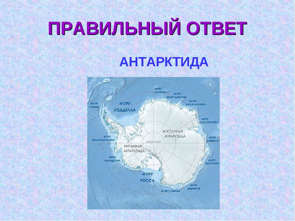 Какой континент ближе всего к антарктиде. Моря Антарктиды на карте. Викторина про Антарктиду. Вопросы на тему Антарктида с ответами. Викторина по теме Антарктика.