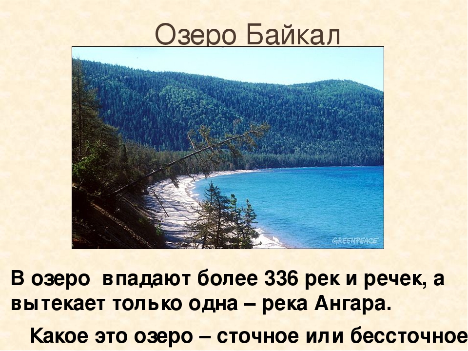 Может ли озеро впадать. Сточное озеро Байкал. В озеро впадает более 336 рек, а вытекает одна Ангара.. 10 Рек которые впадают в озеро Байкал. Озеро какое.